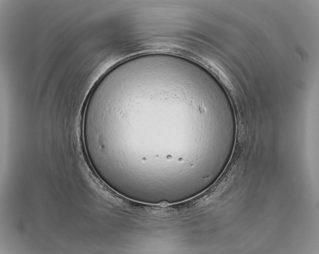 X0000111920899200908101219