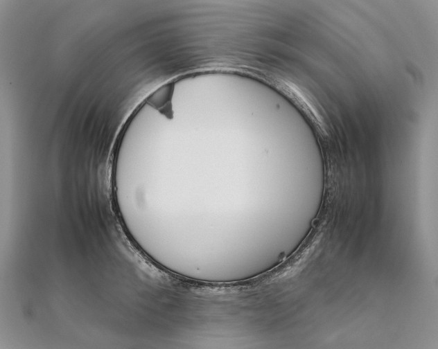 X0000111920900200908101219