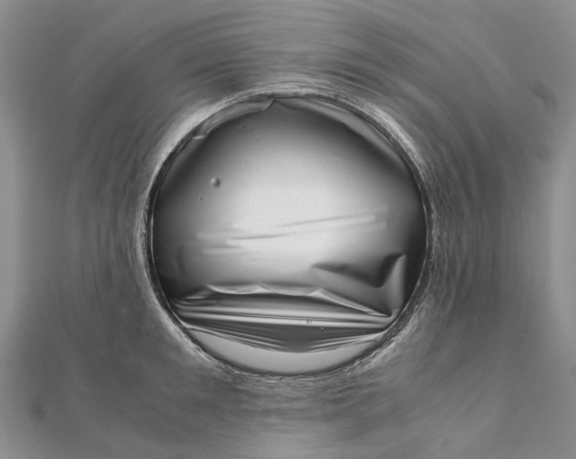 X0000111920901200908101219