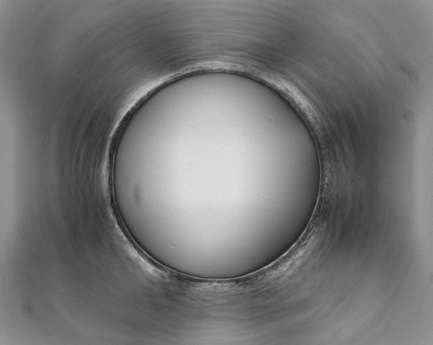 X0000111920902200908101219