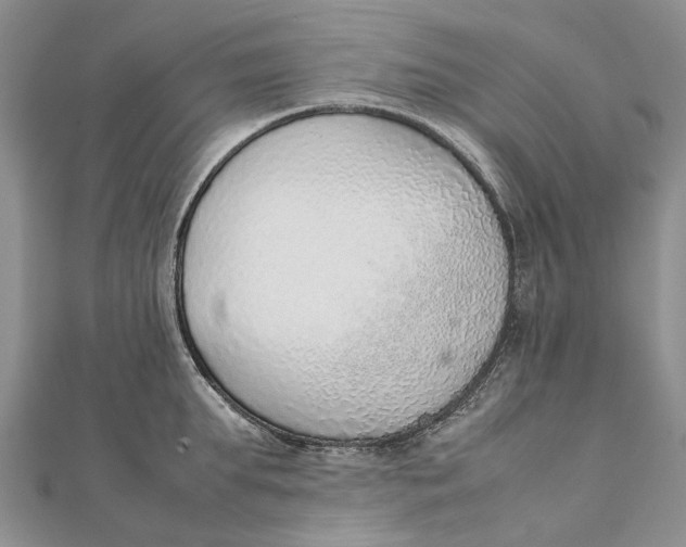 X0000111920903200908101219