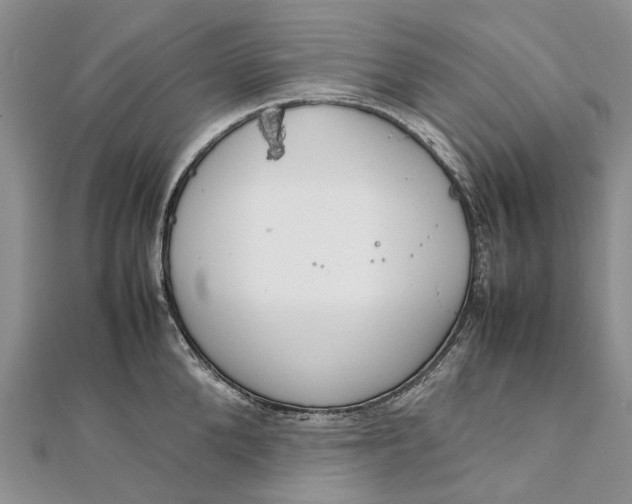 X0000111920904200908101219