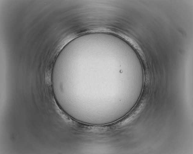 X0000111920905200908101219