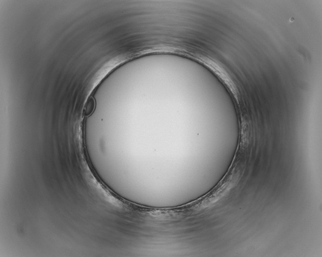 X0000111920906200908101219