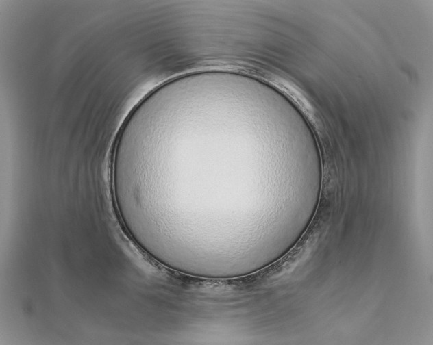 X0000111920907200908101219