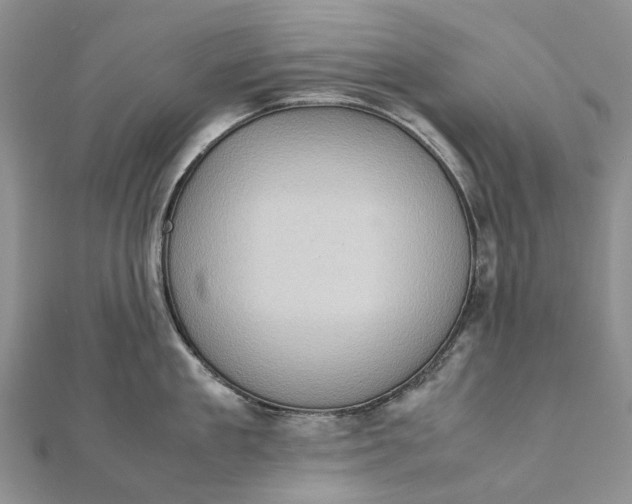 X0000111920909200908101218