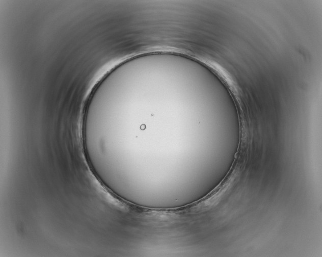 X0000111920910200908101218