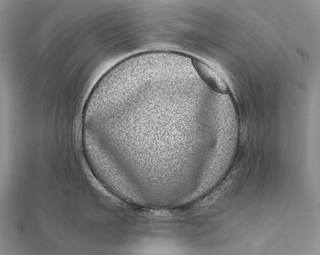 X0000111920911200908101218