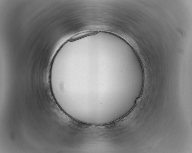 X0000111920912200908101218