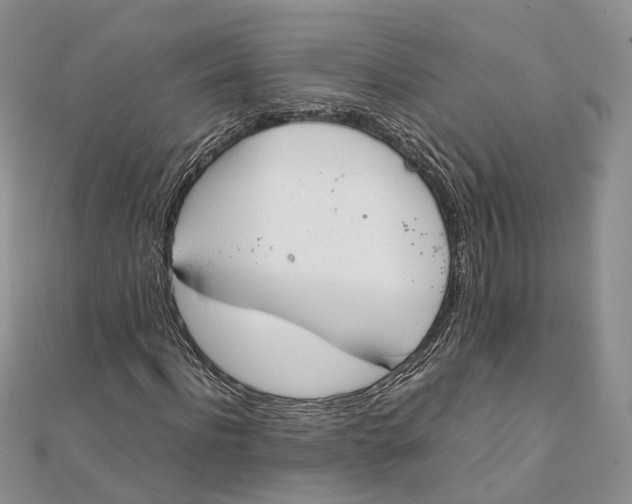 X0000111920916200908101218