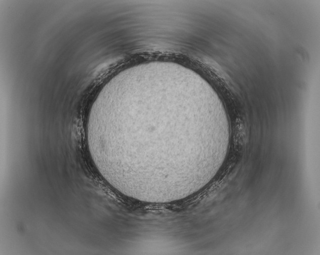 X0000111920918200908101218