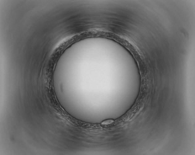 X0000111920919200908101218