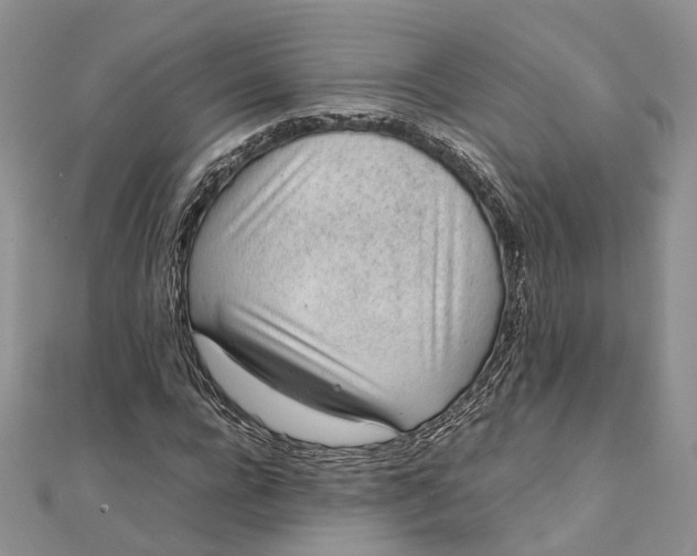 X0000111920920200908101218