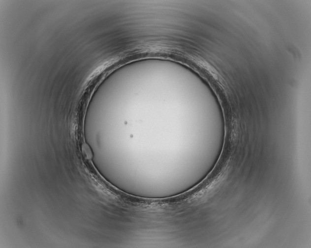 X0000111920922200908101218