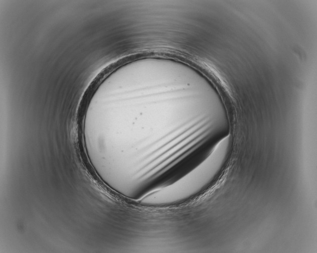 X0000111920924200908101218