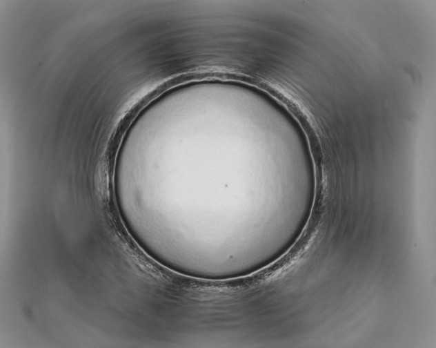 X0000111920925200908101218