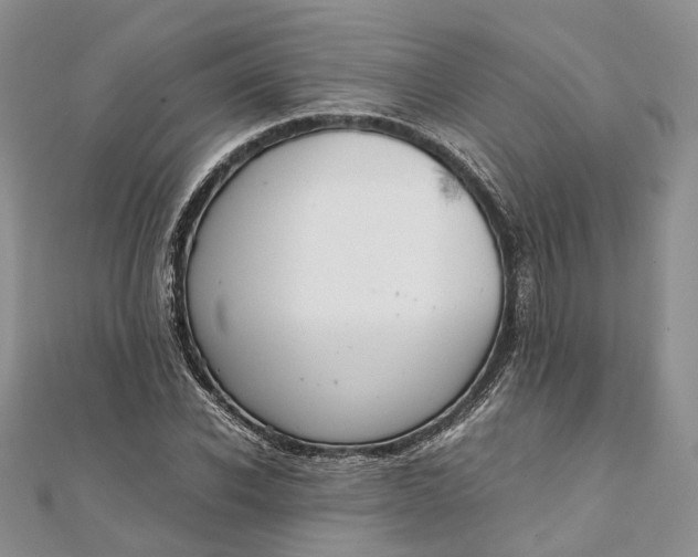 X0000111920926200908101218