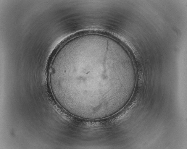 X0000111920927200908101218