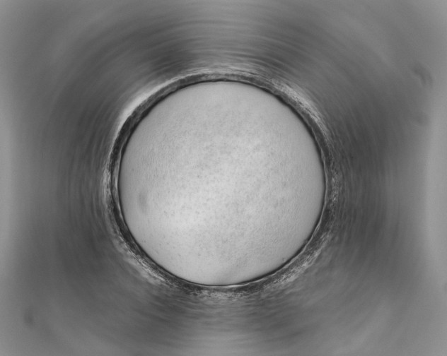 X0000111920928200908101218