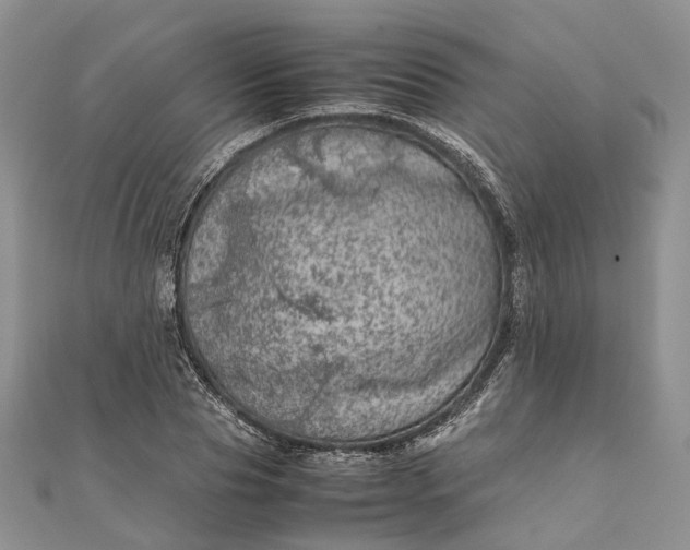 X0000111920929200908101218