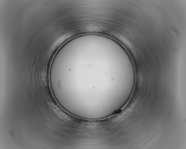 X0000111920930200908101218