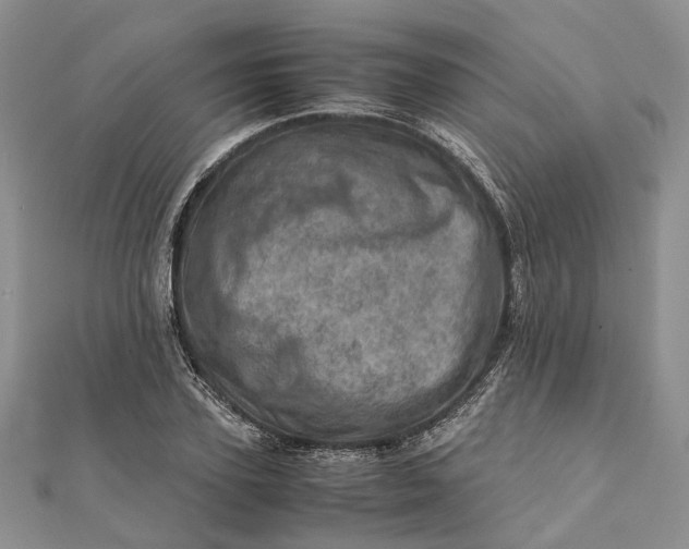 X0000111920931200908101218