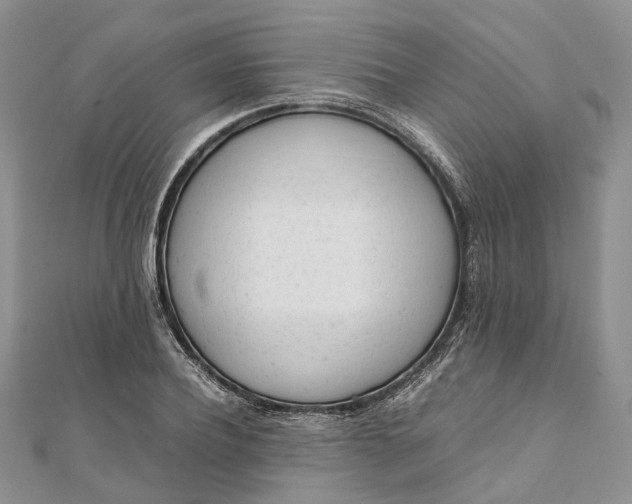 X0000111920932200908101218