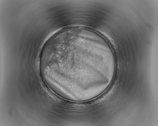 X0000111920933200908101218