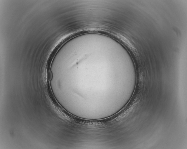 X0000111920934200908101218