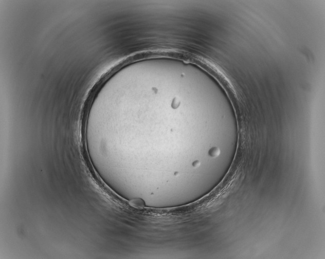 X0000111920935200908101218