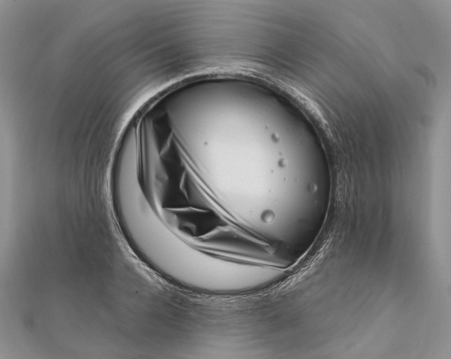 X0000111920936200908101218