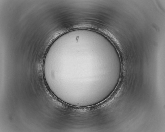 X0000111920937200908101218