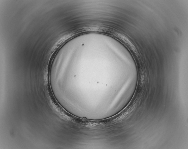 X0000111920938200908101218