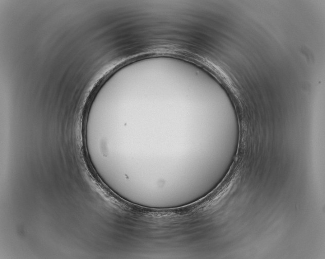 X0000111920939200908101218