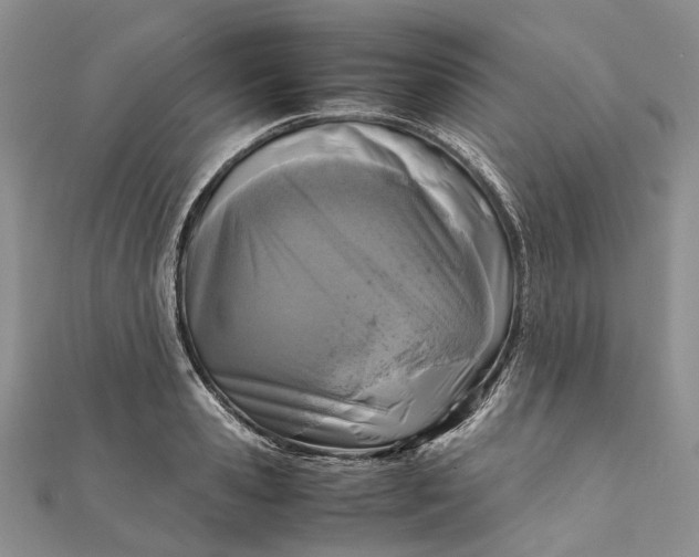 X0000111920941200908101218