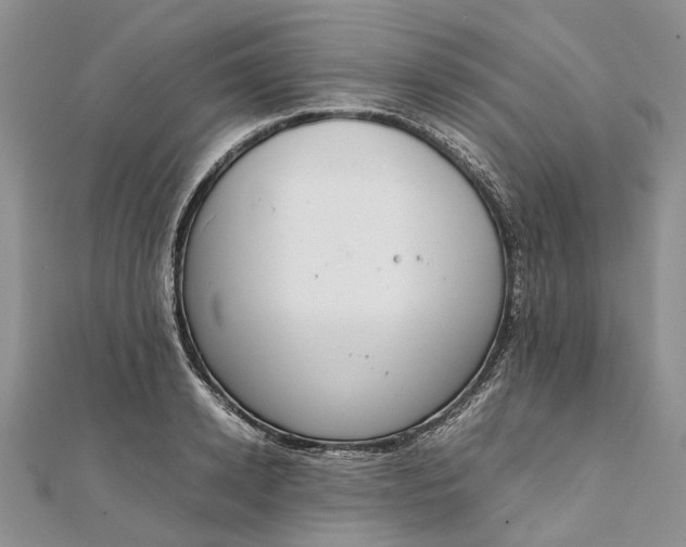 X0000111920942200908101218