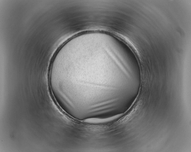 X0000111920943200908101218