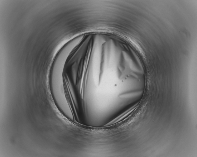 X0000111920944200908101218