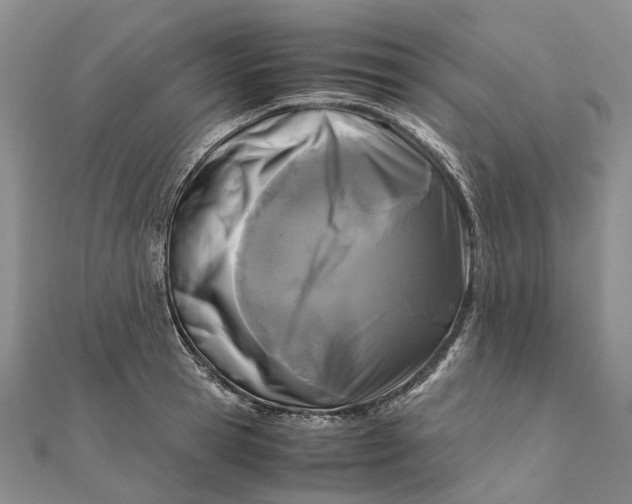 X0000111920945200908101218