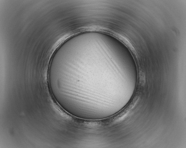 X0000111920946200908101218