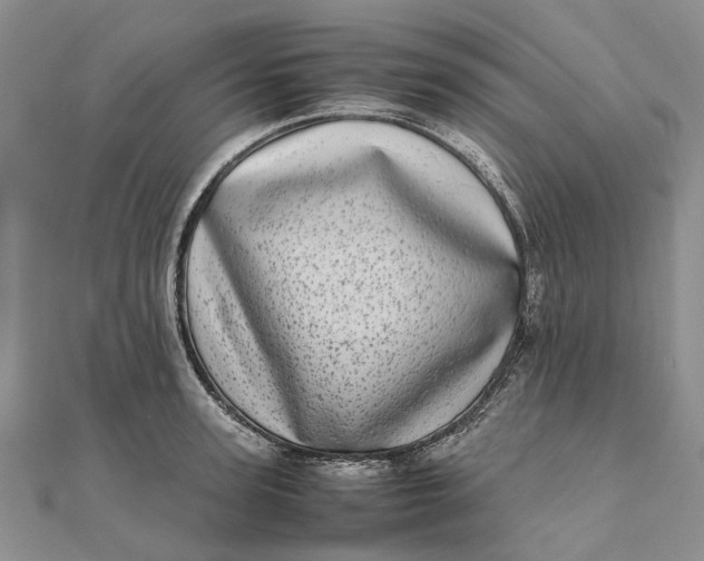 X0000111920947200908101218