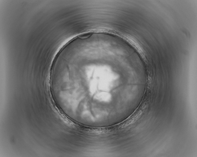 X0000111920948200908101218