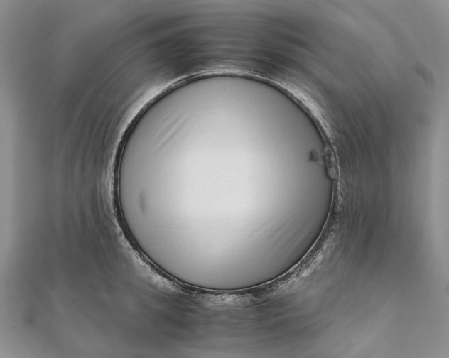 X0000111920949200908101218