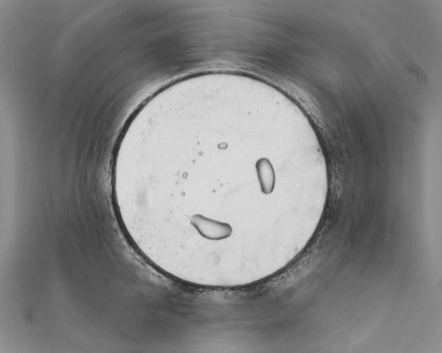 X0000111920950200908101218