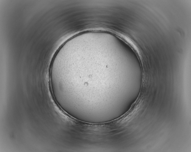 X0000111920951200908101218