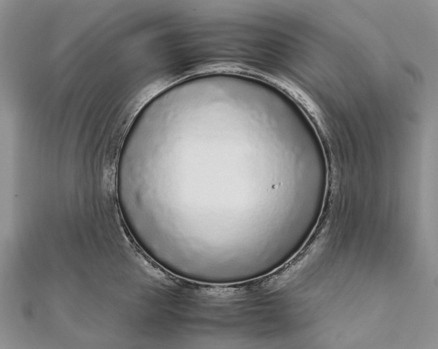 X0000111920953200908101218