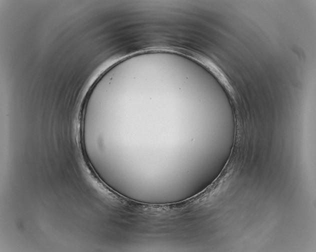 X0000111920955200908101218