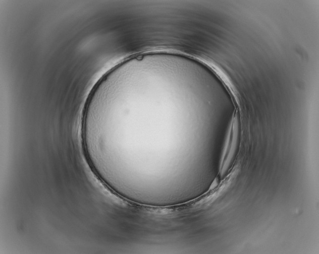 X0000111920957200908101218