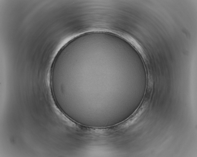 X0000111920958200908101218