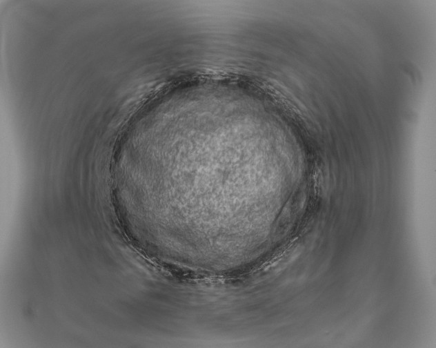 X0000111920961200908101218